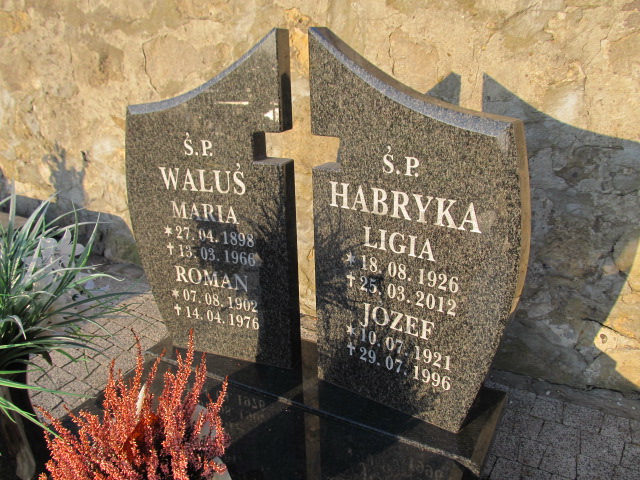 Roman Waluś 1902 Mysłowice Brzęczkowice - Grobonet - Wyszukiwarka osób pochowanych